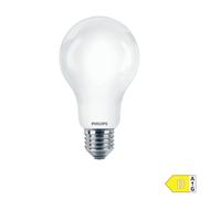 PHILIPS Ampoule LED 17.5W Base E27 Lumière chaude 2700K - INCALED150G2