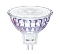 Philips Spot 50 W MR16 GU5.3