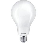 Philips ampoule LED Standard Giant E27 200W Blanc froid dépolie verre