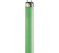 Philips Ampoules Lampe Fluorescente TL-D 18 W/17 EAN : 8711500642981