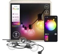 Philips Boule lumineuse LED, Ampoule à LED 929004581901 Hue Festavia LED