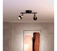Philips Conduit Projecteur, GU10, 2 sources lumineuses, 8720169299894,