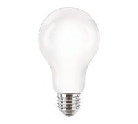 COREPRO LEDBULBND 120W E27 A67
