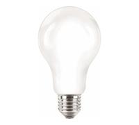 Ampoule LED - 13W - E27 - A67 - 4000K PHILIPS