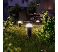 Philips Edwina Borne d’éclairage, LED, 8720169386938,