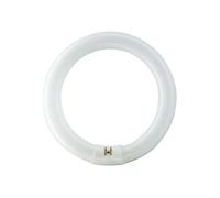 Philips TL-E 22W/865 1CT/12 Tube Fluorescent 84053700