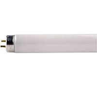 Philips G13 Tube Fluorescent 18w 4000k /840 Blanc Brillant [Classe Énergétique A] Blanc