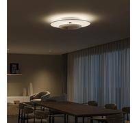 Philips Sceneswitch, Plafonnier Garnet, 3 Réglages, 30 W, Blanc Chaud 2700K, Noir