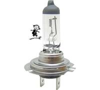 Ampoules à incandescence Philips 12972llecoc1 Longlife EcoVision H7, 1er Carton