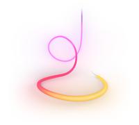 Philips Hue Corde Lumineuse Liane 360° 3 m (poids Inclus)