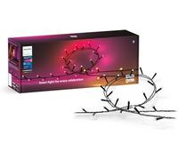 Philips Hue Festavia Guirlande lumineuse 500 LED 40 m