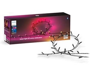 Philips Hue Festavia Guirlande lumineuse 500 LED 40 m