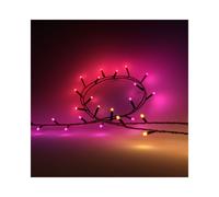 Philips Hue Festavia Guirlande Lumineuse Intelligente 40m 500 LED Blanc Ambiance et Couleur, Bluetooth/Zigbee, 2000-6500K, compatible Android/iOS/Alexa/Google Assistant
