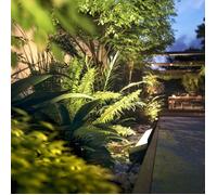 Philips Hue White and Color Ambiance Amarant Noir, Neon LED extérieur linéaire, Éclairage extérieur compatible Bluetooth, fonctionne avec Alexa, Google Assistant et Apple Homekit