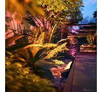 Philips Hue White and Color Ambiance Amarant Noir, Neon LED extérieur linéaire, Éclairage extérieur compatible Bluetooth, fonctionne avec Alexa, Google Assistant et Apple Homekit