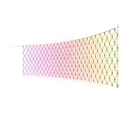 Philips Hue Luminaires Extérieurs Festavia Net Lights - 1 M X 3,5 m, 250 led