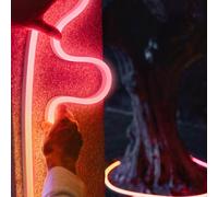 Philips Hue Neon Gradient Outdoor Lightstrip Ruban LED, 8721103088857,