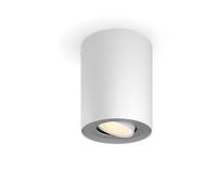 Philips Hue White ambiance Ext. spot unique Pillar