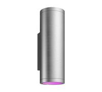Philips Hue WCA Appear Lanterne murale d’extérieur, Inox