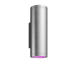 Philips Hue WCA Appear Lanterne murale d’extérieur, Inox
