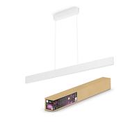 Philips Hue White & Color Ambiance ENSIS Suspension 2x39W Blanc - Luminaire suspension avec Bluetooth - Luminaire Philips compatible avec Alexa, Google Assistant et Apple Homekit