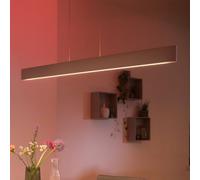 Philips Hue White & Color Ambiance Ensis Suspension, LED, 8719514343467,