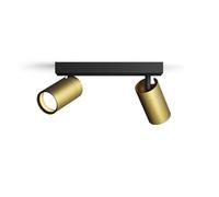 Philips Idris, spot à 2 têtes, lampe GU10 non incluse, laiton, IP44, résistant à l'eau