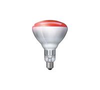 Philips 923212043801 ampoule infrarouge 250 W Bulbe