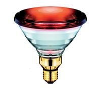 Philips Ampoule infrarouge E27 150 W 230 V Ø 121 x L 136 mm 1 pièce
