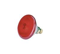 Philips - Lampe infra rouge 175w