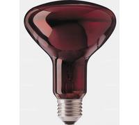 Philips Lampe infrarouge pour thérapie IR E 27, 100 watts