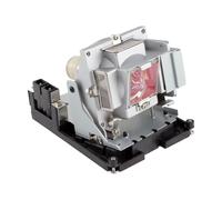 PHILIPS lampe projecteur pour BENQ 5J.J2N05.011 5J.J2N05.001 avec boîtier codalu