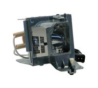PHILIPS lampe projecteur pour OPTOMA SP.70701GC01, BL-FP260C avec boîtier codalu