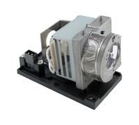 PHILIPS lampe projecteur pour OPTOMA SP.72701GC01, BL-FU260B avec boîtier codalu