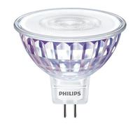 Philips Lampe Spot
