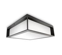 PHILIPS Lanterne murale extérieure/plafonnier max 2 x 14 W, lampe d'extérieur étanche IP44, applique murale extérieure anthracite applique murale moderne pour l'extérieur douille E27 (sans ampoule)