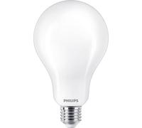 Philips Ampoule dépolie à filament 200 W A95 E27