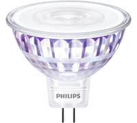 Philips Spot 50 W MR16 GU5.3