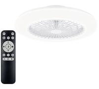 Philips Plafonnier ventilateur Amigo 42+20 W