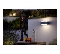 Philips LED Hedgehog 1733793PN Applique extérieure LED E27 42 W anthracite