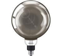 Philips Lighting 871951431539600 LED E27 forme de globe 6.5 W = 25 W blanc chaud (Ø x L) 202 mm x 286 mm blanc G