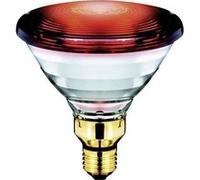 Philips Lighting Ampoule infrarouge E27 150 W (Ø x L) 121 mm x 136 mm 230 V G