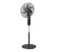 Ventilateur sur pied - PHILIPS - CX1520/01 - Série 1000 - Silencieux - 2-en-1 - Flux d'air de 3330 m³/h - 43 db(A) - Noir
