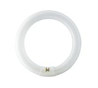 Philips Master Lampe Fluorescente Tl-E 40W 840 Circulaire Super 80 G10q Anneau