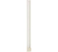 Philips master PL-L Ampoule 4 broches 36 W 2G11 Blanc chaud Fluorescent Broches 4P