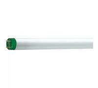 Philips MASTER TL-D Éco Lampe Fluorescente 32,2 W G13 Blanc Chaud