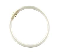 Philips Master TL5 Circular 60W/840 1CT/10 642615