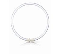 Philips Master TL5 Circular 60W/840 1CT/10 642615
