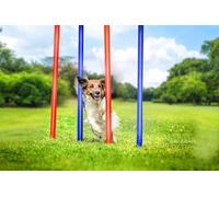maxxpro Agility Slalom Set Agility pour Chien - 60 x 3 cm - Plastique - Bleu/Rouge