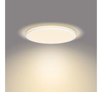 Philips Ozziet Panneau LED, 8719514431904,